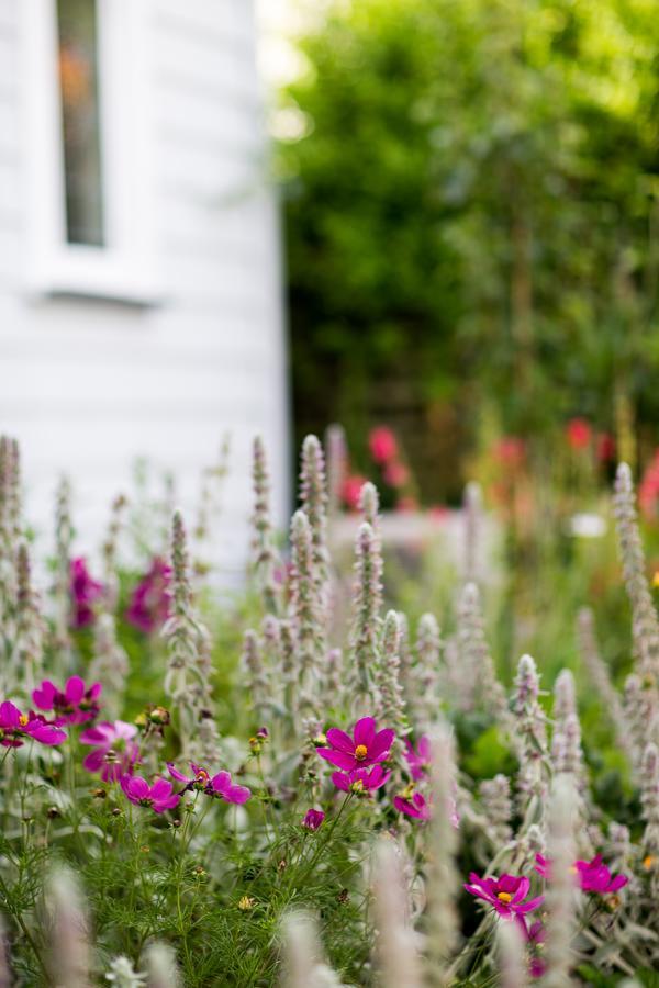 Coghill Cottage Whitianga Exterior photo